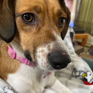 Meet your Posher, Tracy